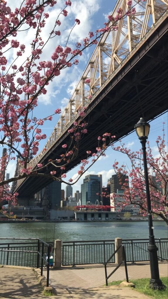 Sustainable Measures for a Greener Future