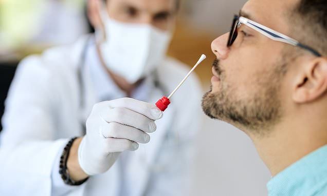 Stem Cell Therapy in Berlin: A Comprehensive Guide