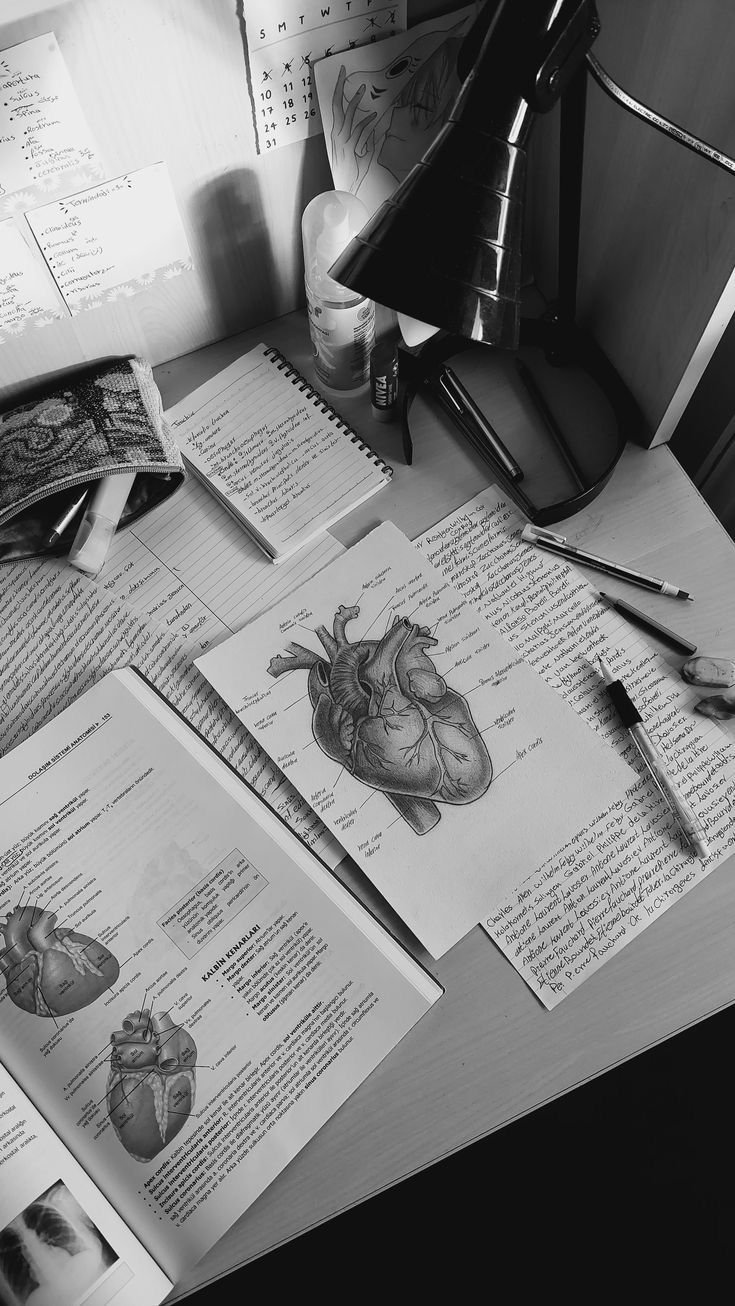 Mark Medical Terminology A Beginner’s Guide